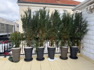 Photo de galerie - Jardinier