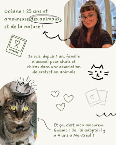 Photo de galerie - Présentation