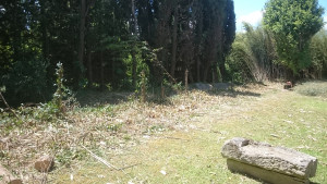 Photo de galerie - Coupe de bambous 