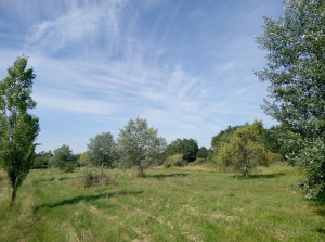 Photo de galerie - Tonte de pelouse - Débroussaillage