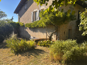 Photo de galerie - Taille d’arbuste , taille de haie , taille glycine , nettoyage , débroussaillage et tonte 
