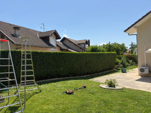 Photo de galerie - Taille de haies et d'arbustes