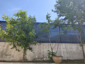 Photo de galerie - Clôture Grillage