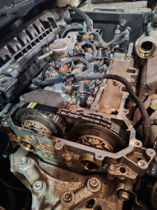 Photo de galerie - Courroie de distribution moteur puretech, avec procédure constructeur 