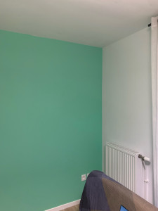 Photo de galerie - Peinture / Enduit