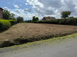 Photo de galerie - Tonte de pelouse - Débroussaillage
