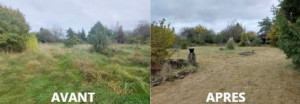 Photo de galerie - Tonte de pelouse - Débroussaillage