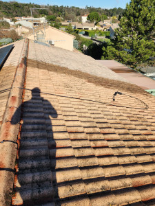 Photo de galerie - Peinture - Tapisserie