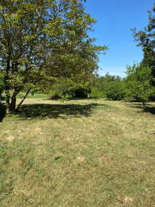 Photo de galerie - Après débroussaillage et tonte 