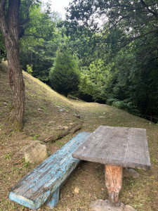 Photo de galerie - Après débroussaillage 