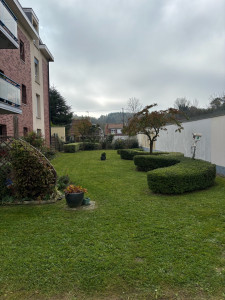 Photo de galerie - Tonte de pelouse - Débroussaillage