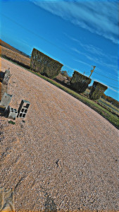 Photo de galerie - Taille d entretiens 