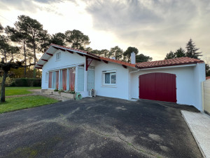 Photo de galerie - Peinture - Tapisserie