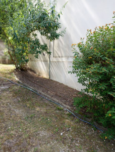 Photo de galerie - Nettoyage d'un massif 