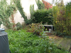 Photo de galerie - Remise en état du jardin et taille de la haie (avant)