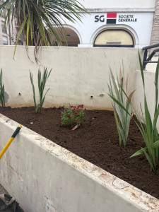 Photo de galerie - Désherbage 