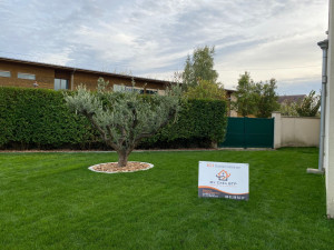 Photo de galerie - Paysagiste - Aménagement du jardin