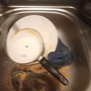 Photo de galerie - Ménage