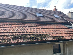 Photo de galerie - Couverture - Toiture