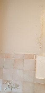 Photo de galerie - Bricolage et multi services