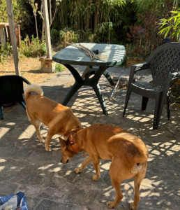 Photo de galerie - Tobi et nina - 08/26