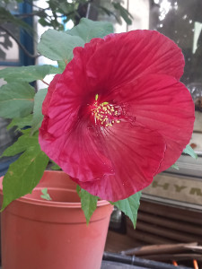 Photo de galerie - Passionné 