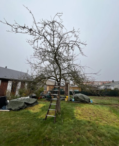 Photo de galerie - Avant