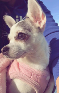 Photo de galerie - Belle