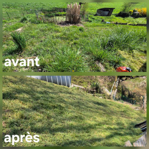 Photo de galerie - Remise en état d'un terrain en pente