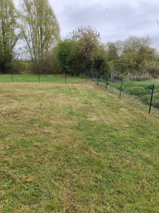 Photo de galerie - 1 ère tonte début avril 2026