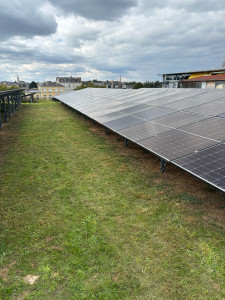 Photo de galerie - Tonte de pelouse - Débroussaillage