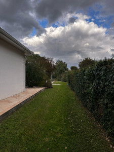 Photo de galerie - Tonte de pelouse