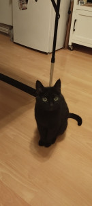 Photo de galerie - .
