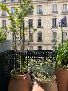 Photo de galerie - Paysagiste - Aménagement du jardin