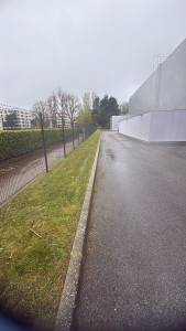 Photo de galerie - Paysagiste - Aménagement du jardin