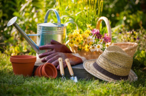 Photo de galerie - Jardinage/bricolage/entretien jardin