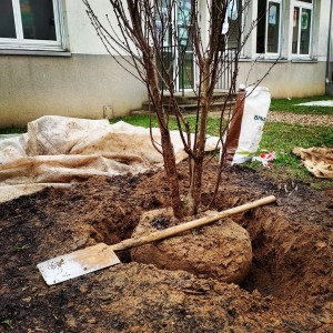 Photo de galerie - Paysagiste - Aménagement du jardin