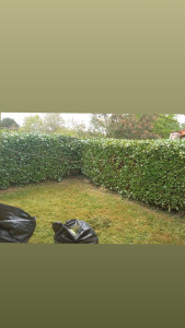 Photo de galerie - Taillage de haie