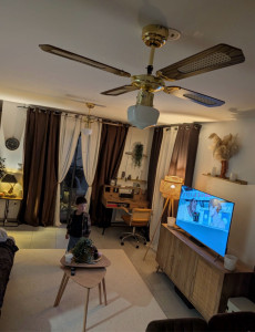 Photo de galerie - Ventilateur (usage domestique)