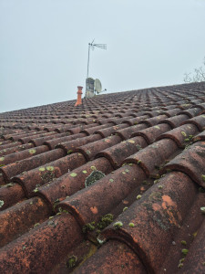 Photo de galerie - Toiture avant  nettoyage 