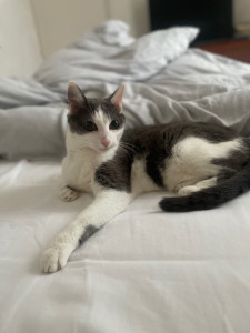 Photo de galerie - Corinne 