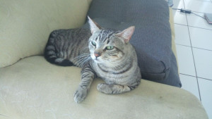 Photo de galerie - Dub ♥️