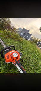 Photo de galerie - Taillage de haie 
