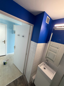 Photo de galerie - Peinture / Enduit