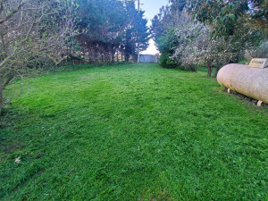 Photo de galerie - Tonte de pelouse - Débroussaillage