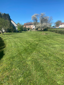 Photo de galerie - Tonte de pelouse 