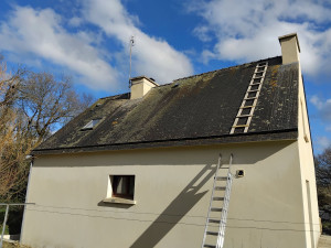 Photo de galerie - Mur et toiture 