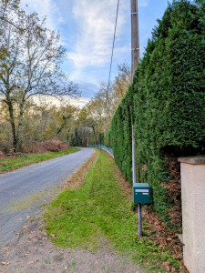 Photo de galerie - Taille de haies et d'arbustes