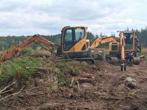 Photo de galerie - Sylviculture et terrassement 