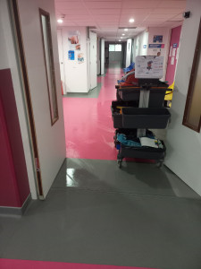 Photo de galerie - Nettoyage  et des infestations  ai milieu  hospitalier 